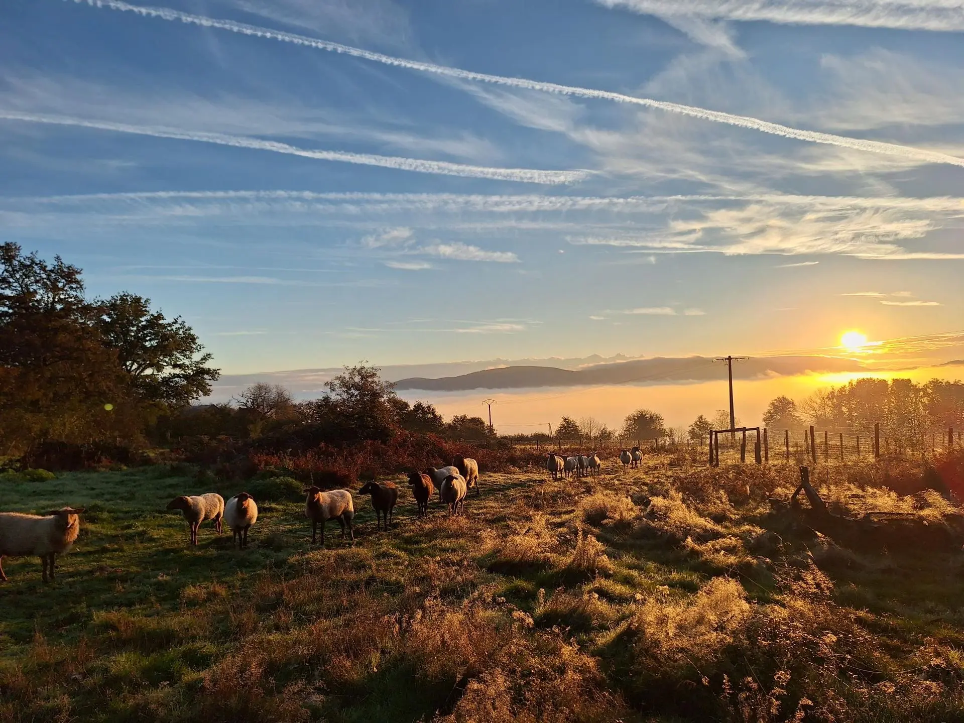 Lever de soleil sur La Chassagne